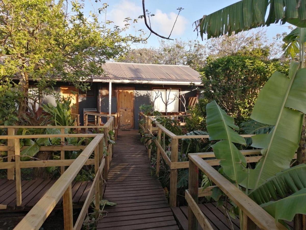 Tuava Lodge Hanga Roa Buitenkant foto